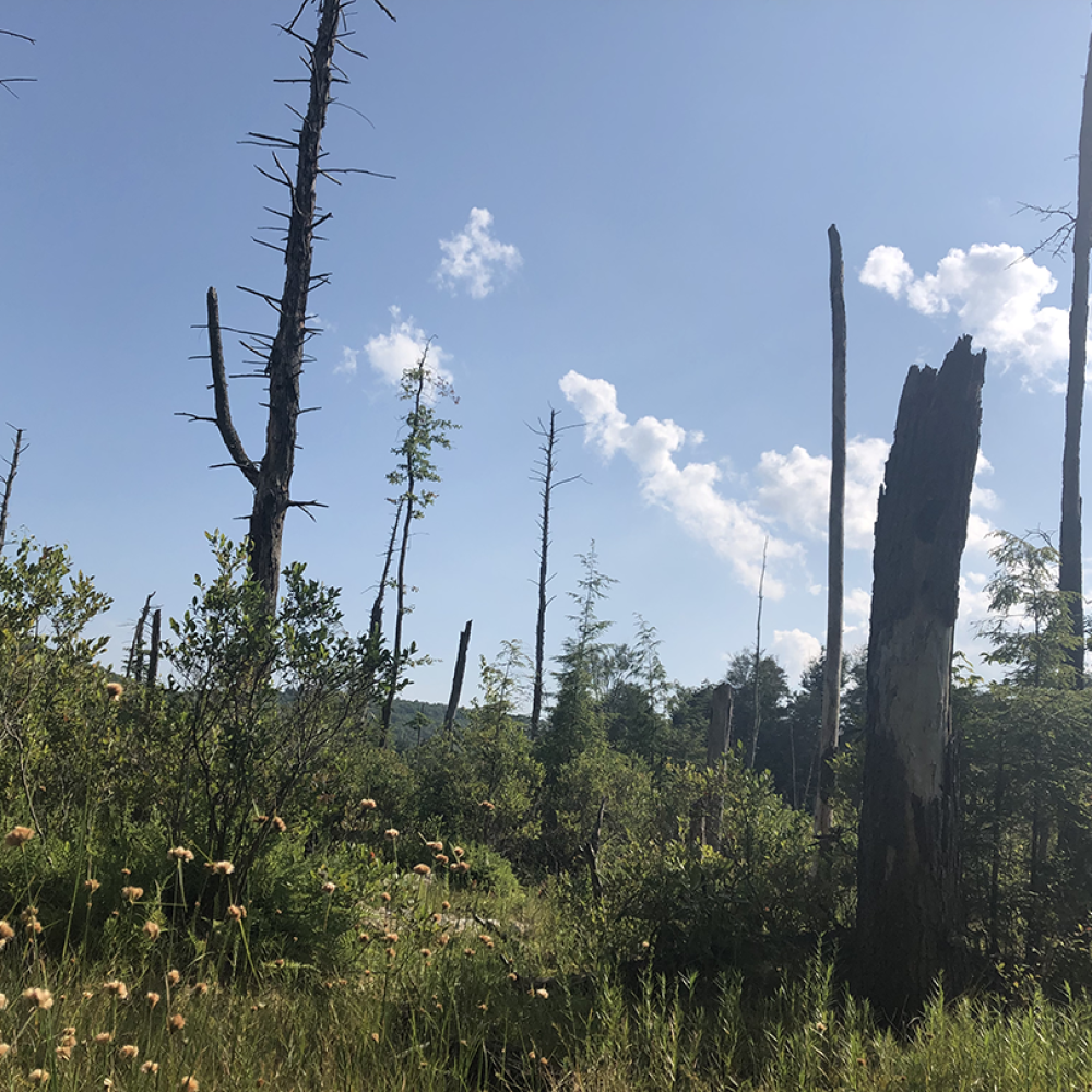 Itinerary step 14 image