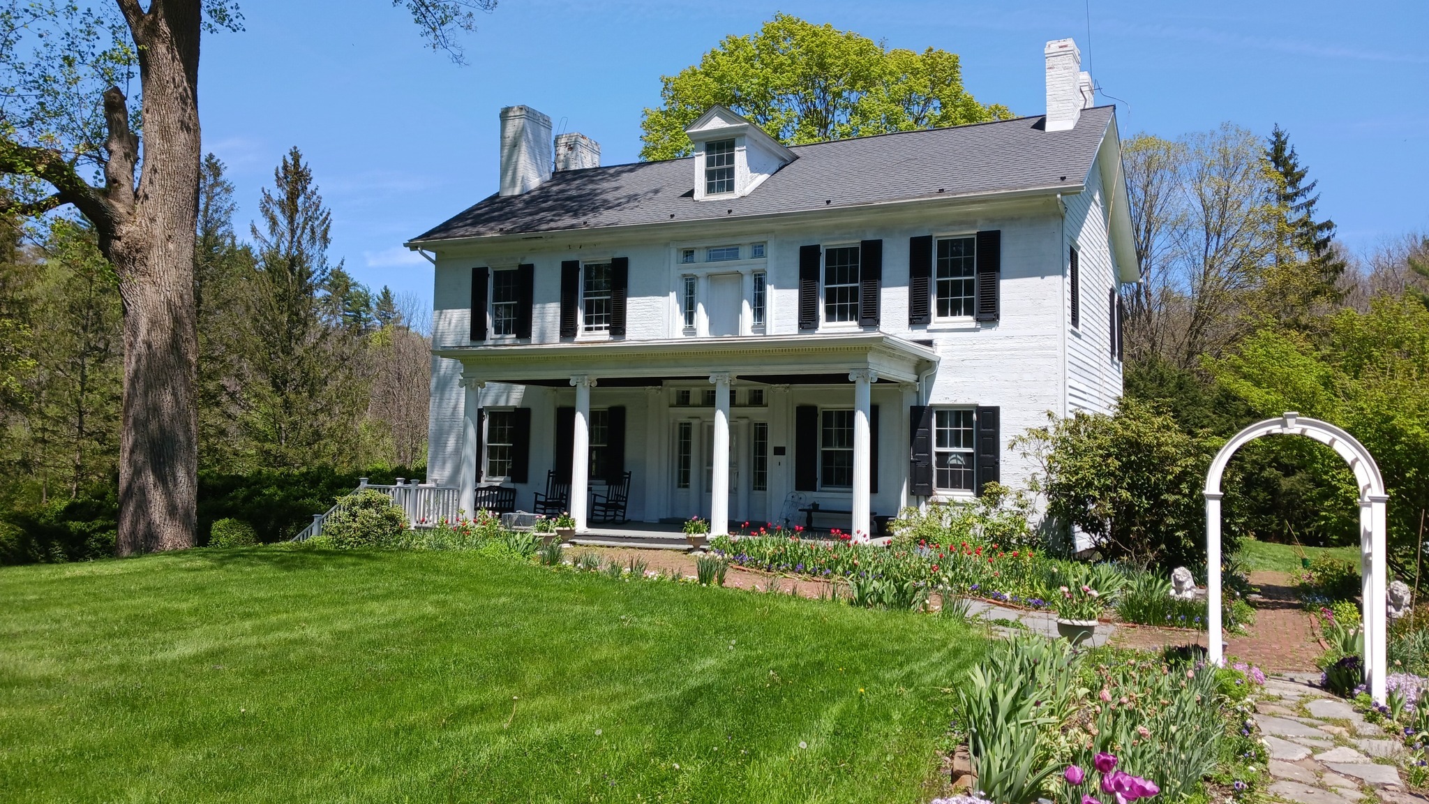 main image
