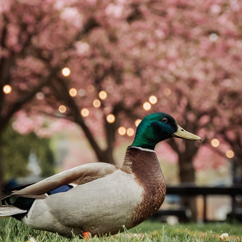 Itinerary step 7 image